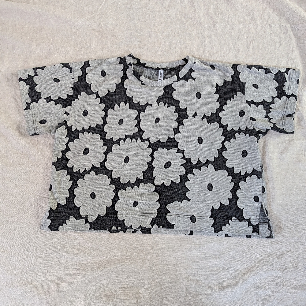 Ilana Kohn Chalk Daisy crop